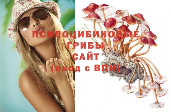 прущая мука Магадан