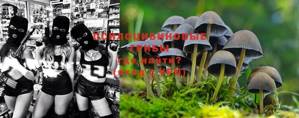 стафф Приозерск