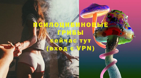 ешки Пролетарск