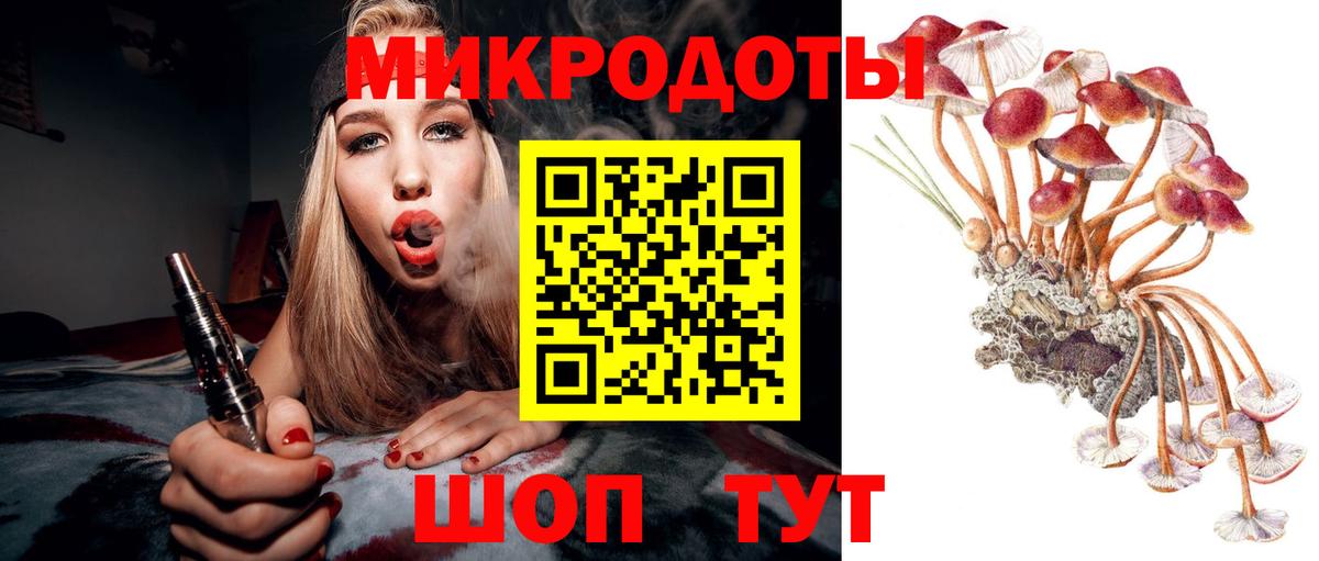 Псилоцибиновые грибы прущие грибы Луховицы
