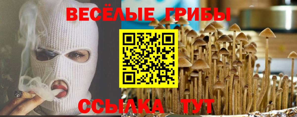 Луховицы  купить закладку  Вход с VPN  Галлюциногенные грибы Psilocybe 