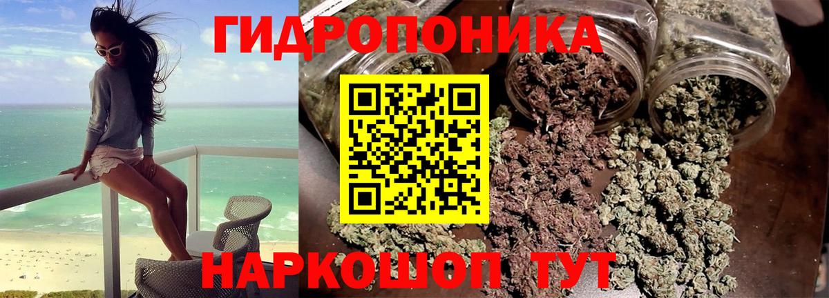 Бошки марихуана конопля Луховицы